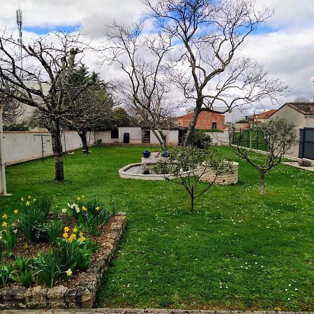 Maison Plain Pied Avec Jardin, Terrasse Et Veranda Cognac Kültér fotó